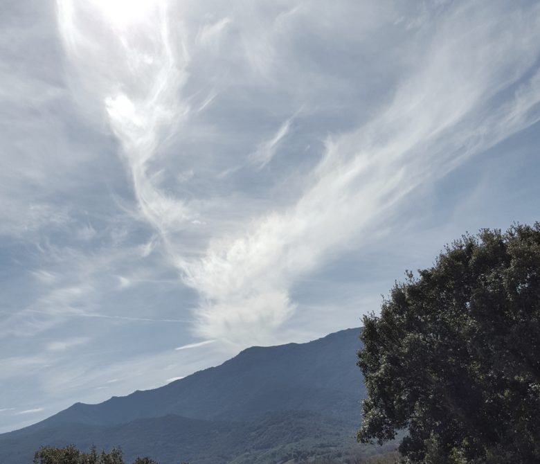 Mon journal lunaire du 8 avril 2019 – Sur Tous Les Fronts –