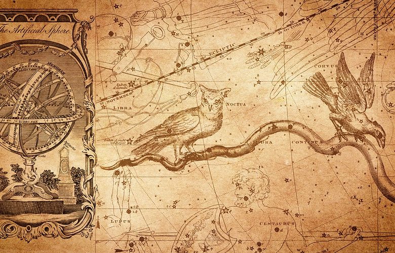 Mon journal lunaire du 13 août 2018 – décrisper la volonté.