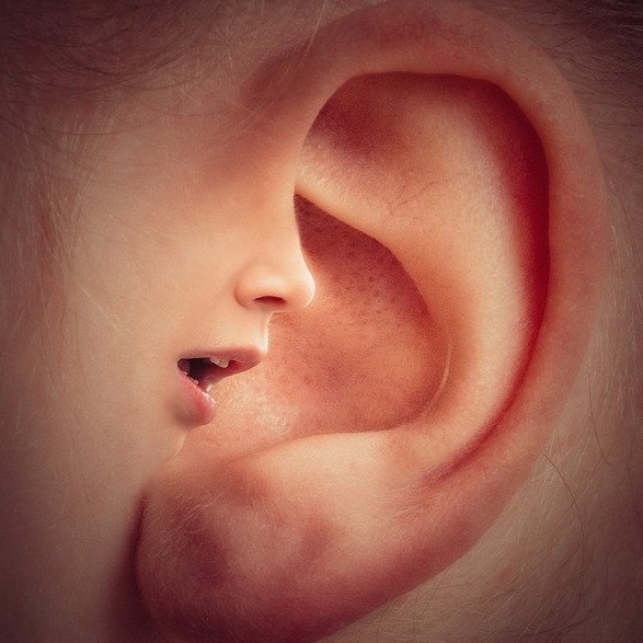 Mon journal lunaire du 31 mai 2021 – Une oreille attentive –