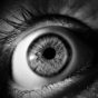 Mon journal lunaire du 7 janvier 1019 – Vision –