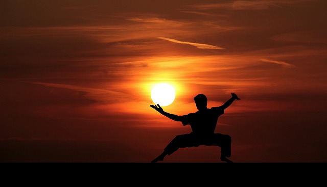 Mon journal lunaire du 4 novembre 2019 – La Valeur du Combat –