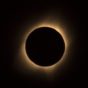 Mon journal lunaire du 8 avril 2024 – Mes Petits Secrets De Lune – NL du 8 avril