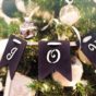 Mon journal lunaire du 18 décembre 2018 – Joyeux Noël