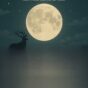 Mon journal lunaire du 11 juillet 2025 – Mes Petits Secrets De Lune – PL du 10 juillet