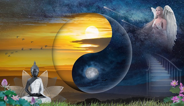 Mon journal lunaire du 12 février 2025 – Mes Petits Secrets De Lune – PL du 12 février –